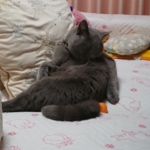 Thumbnail of post image 171