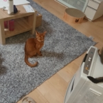 Thumbnail of post image 005