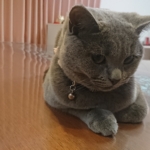 Thumbnail of post image 156