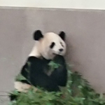 Thumbnail of related posts 055