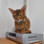 Thumbnail of post image 017