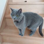 Thumbnail of related posts 180