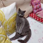 Thumbnail of post image 084