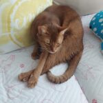 Thumbnail of post image 200