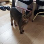 Thumbnail of post image 065