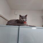 Thumbnail of post image 179