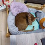 Thumbnail of post image 150