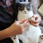 Thumbnail of post image 034