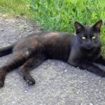 Thumbnail of post image 020